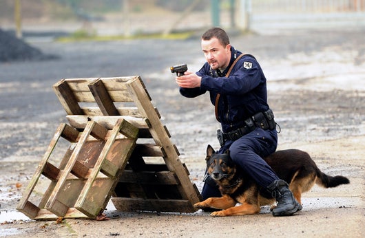 Police Dog